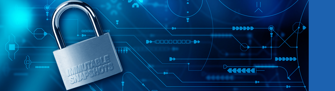 Immutable Snapshots Header
