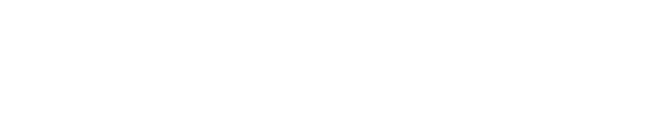 NfinaView_logo_rev NfinaView Logo Reversed